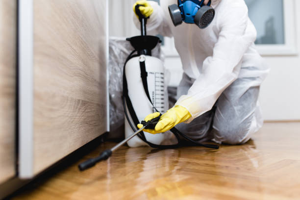 Best Wildlife Control Services  in Bonners Ferry, ID