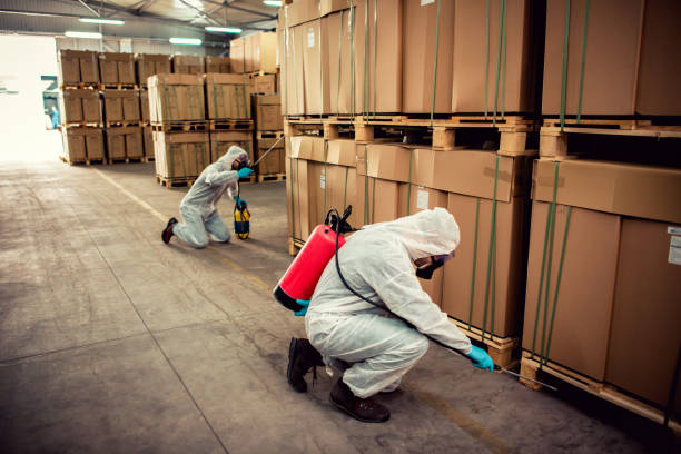Flea Control Services in Bonners Ferry, ID