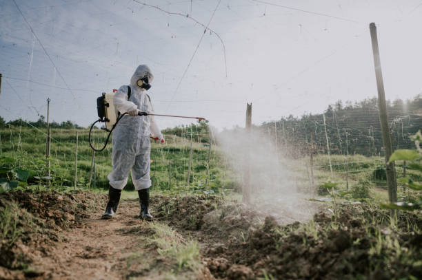 Best Termite Control Services  in Bonners Ferry, ID