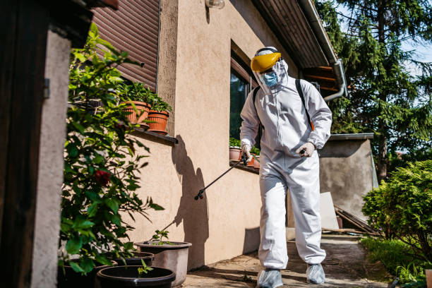 Best Mosquito Control Services  in Bonners Ferry, ID