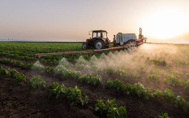 Best Pest Removal Services  in Bonners Ferry, ID