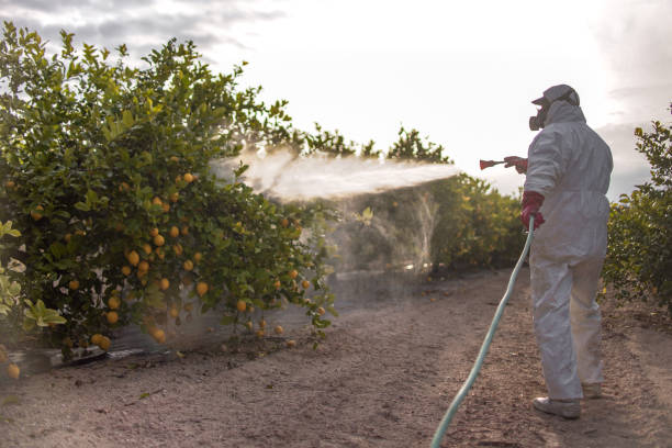 Best Commercial Pest Control Services  in Bonners Ferry, ID