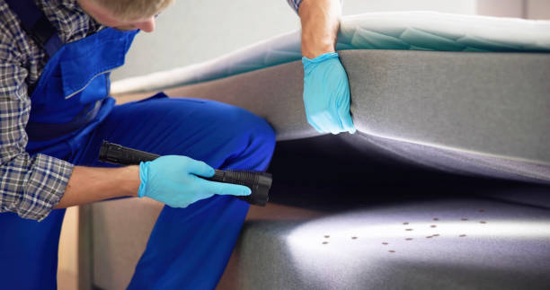 Reliable Bonners Ferry, ID Pest Control Solutions