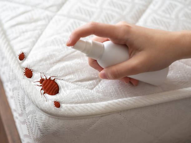 Pest Control Cost in Bonners Ferry, ID