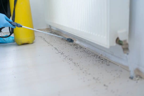 Best Best Pest Control Companies  in Bonners Ferry, ID