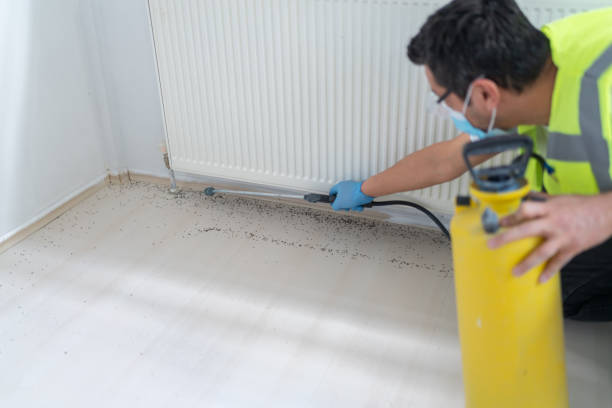 Best Exterminator Services  in Bonners Ferry, ID